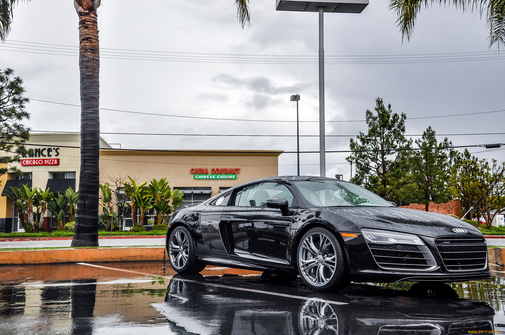 2014 audi r8 v10 plus, , audi, , 